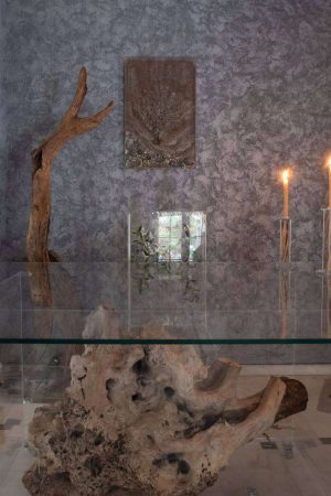 Dining Room With Olive Root-Nikoleta psalti
